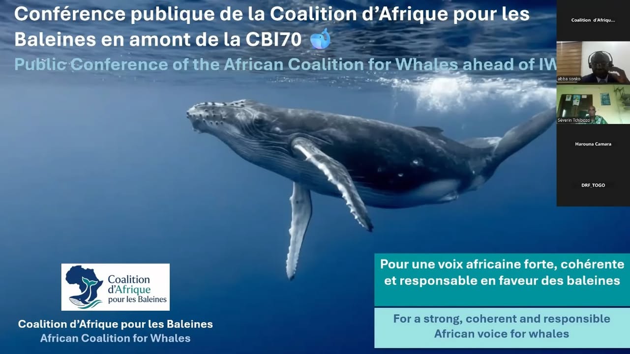 Renatura Congo