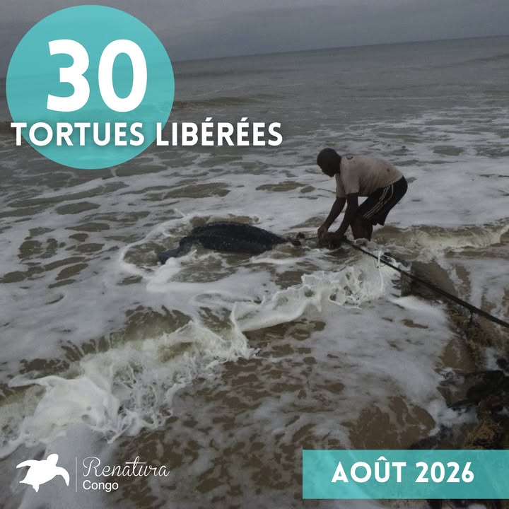 Renatura Congo