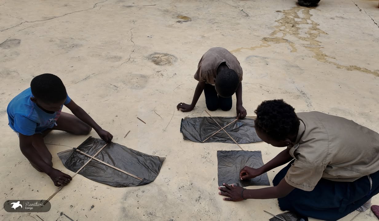 Renatura Congo
